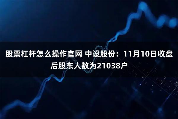 股票杠杆怎么操作官网 中设股份:11月10日收盘后股东人数为21038户