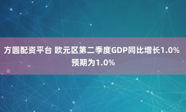 方圆配资平台 欧元区第二季度GDP同比增长1.0% 预期为1.0%